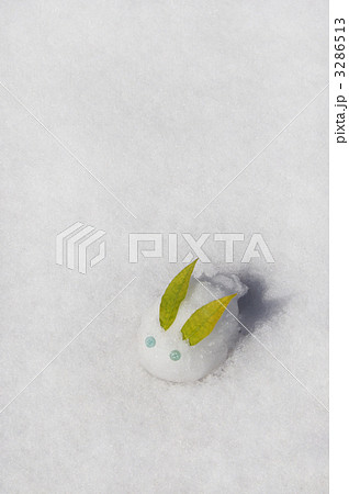 ゆきうさぎ 3286513