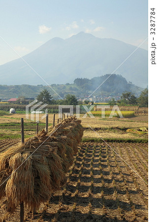 津軽の農村風景 津軽の農村風景 3287784