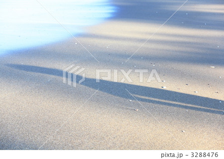 鳴き砂の砂浜～大須賀海岸（青森） 3288476