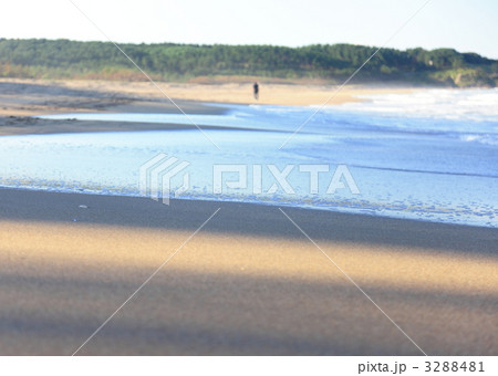 大須賀海岸 大須賀海岸 3288481