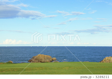 種差海岸　夏 3289211