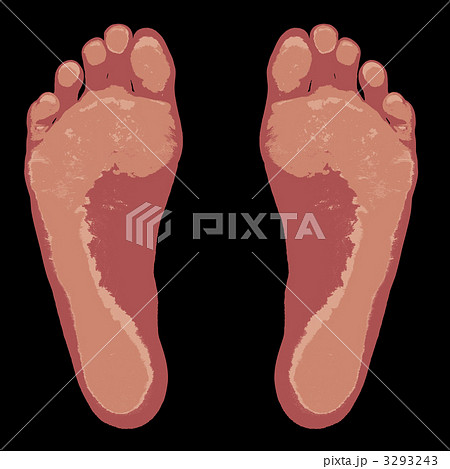 足の裏のイラスト 3293243