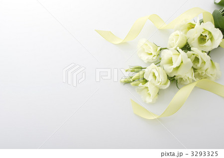 トルコキキョウ トルコキキョウ 3293325