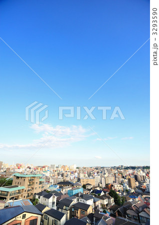 横浜、野毛山公園からの眺め 3293590