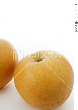 梨 3293661