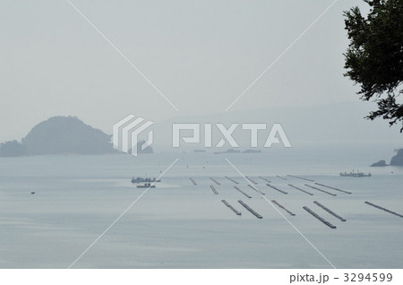 石巻湾 牡蠣棚 石巻湾 牡蠣棚 3294599