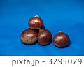 秋の味覚 3295079
