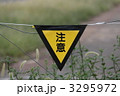 3295972
