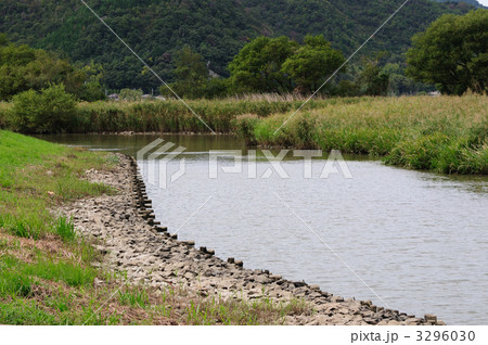 水辺の景色 3296030