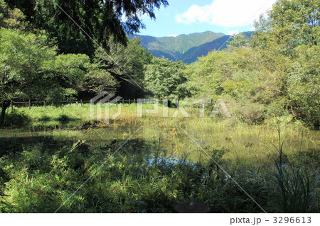 小田貫湿原・中間の湿原 3296613