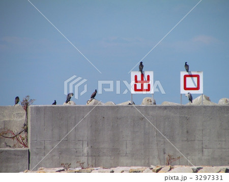 出口の看板とウミウ 出口の看板とウミウ 3297331