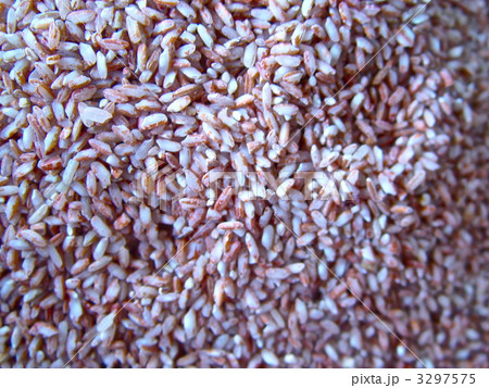 赤米 古代米 ハノイ ベトナム の写真素材