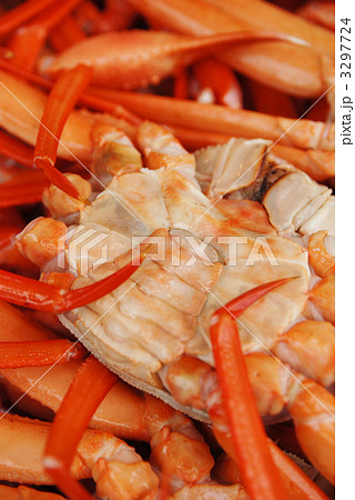 紅ずわい蟹 3297724