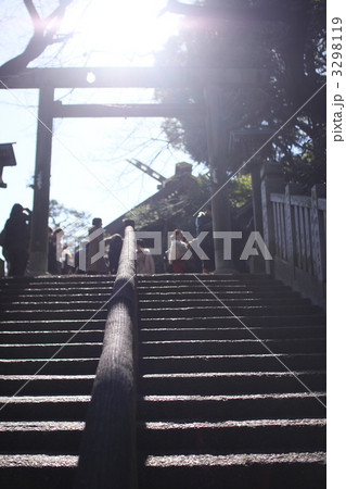 横浜　神社 3298119