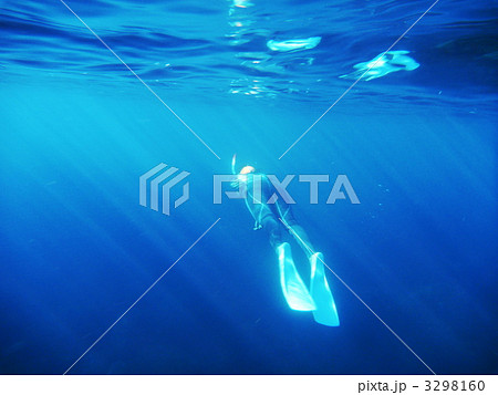 3298160