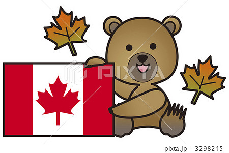 熊とカナダ国旗とサトウカエデ メイプルリーフ のイラスト素材