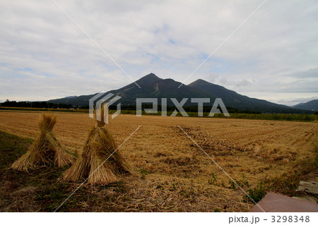 稲刈りと磐梯山 3298348