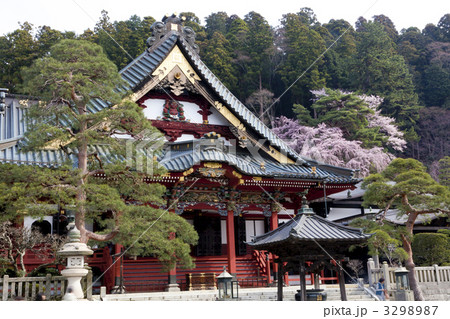 身延山久遠寺の桜 3298987