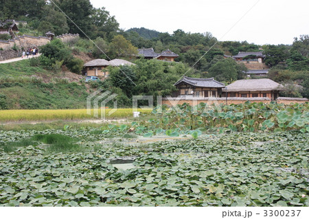 韓国 慶州 良洞村 韓国 慶州 良洞村 3300237