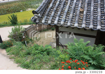 韓国　慶州　良洞村 3300239