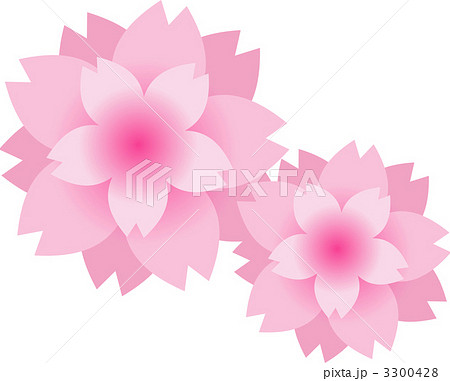 八重桜 八重桜 3300428