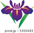 花菖蒲 3300483