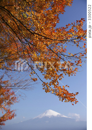 紅葉と富士山 3300522