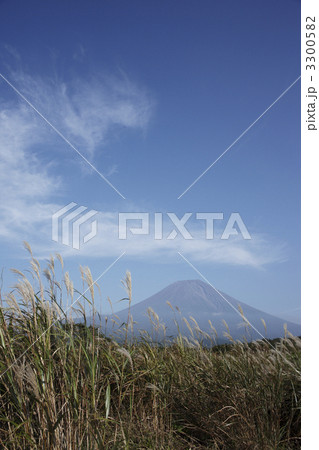 ススキと富士山 3300582