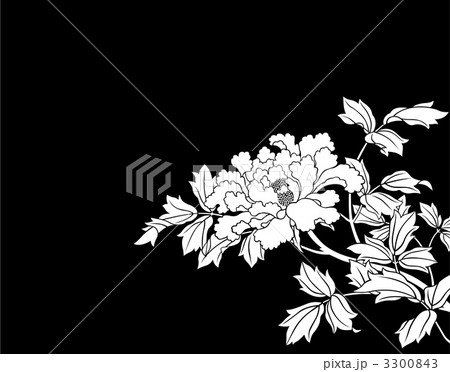 パターン パターン 3300843