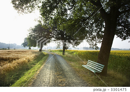 Bench and Gravel Road in the Country 3301475