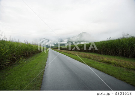 Rural Road 3301618