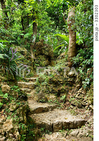 廻遊式庭園 廻遊式庭園 3302303