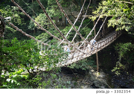 祖谷のかずら橋 3302354