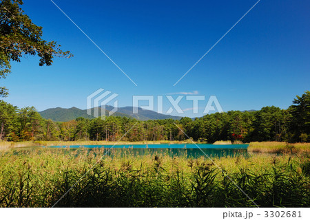 裏磐梯五色沼の弁天沼全景 3302681