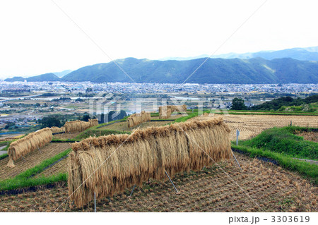 名勝「田毎の月」 名勝「田毎の月」 3303619
