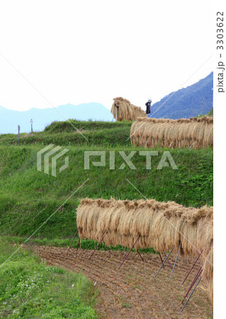 姨捨の棚田 姨捨の棚田 3303622