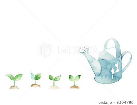 家庭菜園 3304790