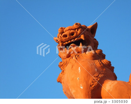 太陽に吠えろ 3305030