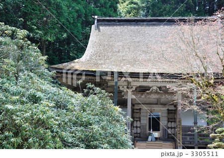 高野山・金剛三昧院本堂 3305511