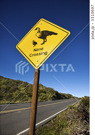 "Nene Crossing" road sign in Maui, Hawaii. 3310697