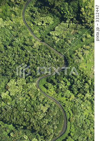 Road through forest. 3312447