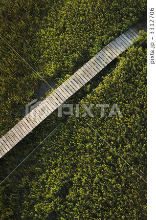 Boardwalk over marsh. Boardwalk over marsh. 3312706