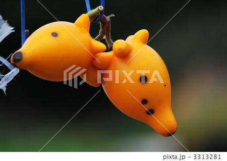 飾り野菜 3313281