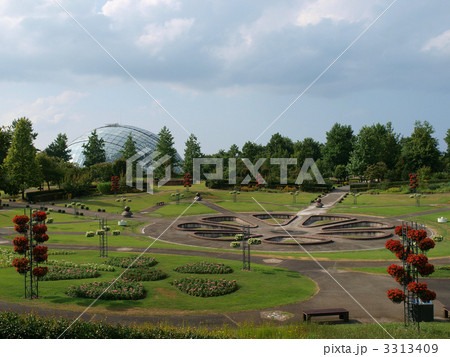 とっとり花回廊にて 3313409