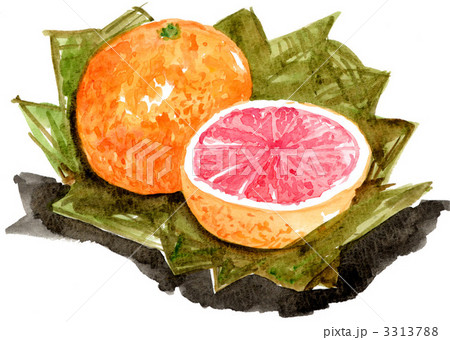 grapefruit11104pix 3313788