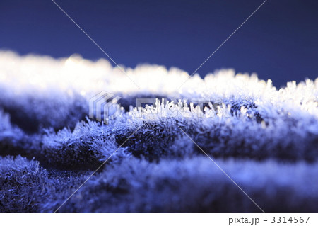 冬のイメージ 初霜 冬のイメージ 初霜 3314567