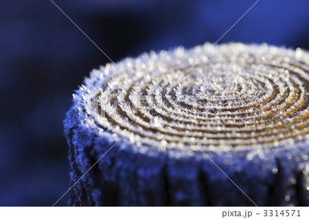 冬のイメージ 霜 冬のイメージ 霜 3314571