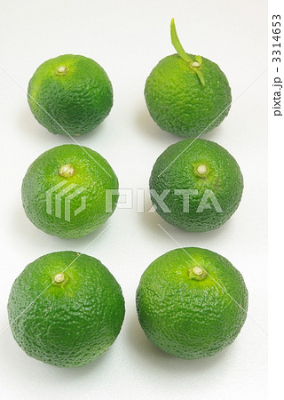 柚子 3314653