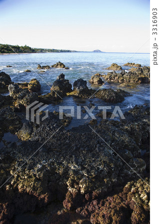 Lave rocky coast. 3316903