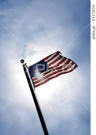 American flag in breeze. American flag in breeze. 3317650